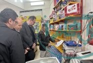 نظارت و سرکشی از فروشگاه های مجری طرح کالا برگ الکترونیکی
