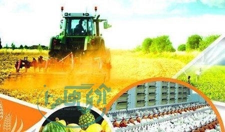 ۴۰۰ واحد تولیدی قابل احیا منتظر تسهیلات هستند