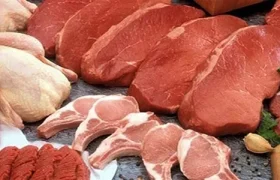 صادرات ۳ میلیون کیلوگرم موادخام دامی همدان به خارج از کشور