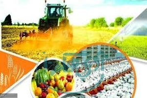 بهره‌برداری از ۵۱ طرح کشاورزی در استان همدان