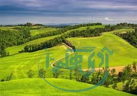 برگزاری روز ملی مرتع و مرتع داری؛ استان همدان دارای بیش از ۶۰۰ هزار هکتار مرتع است