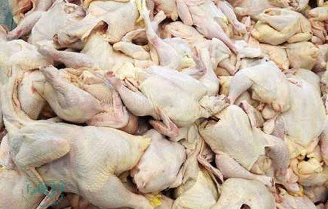 کشف و امحا ۱۵۰ کیلوگرم مرغ تاریخ مصرف گذشته در همدان