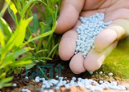 تأمین و توزیع بیش از ۱۶ هزار تن انواع کود کشاورزی در همدان