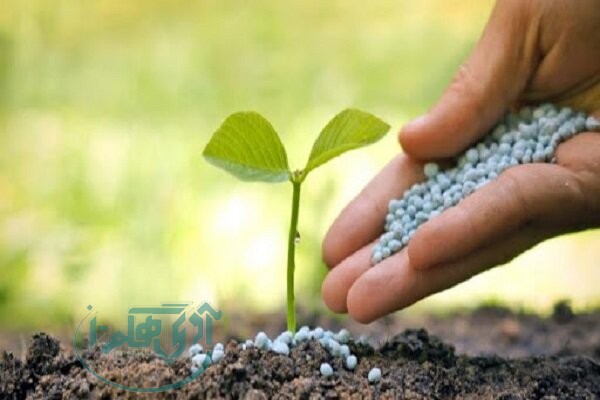 توزیع بیش از ۱۳ هزار تن کود پایه در استان همدان
